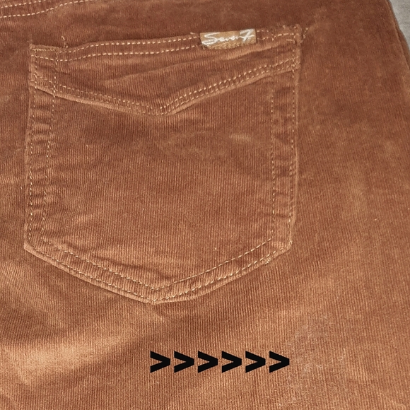 Brushed Corduroy Pants - Picture 6 of 6